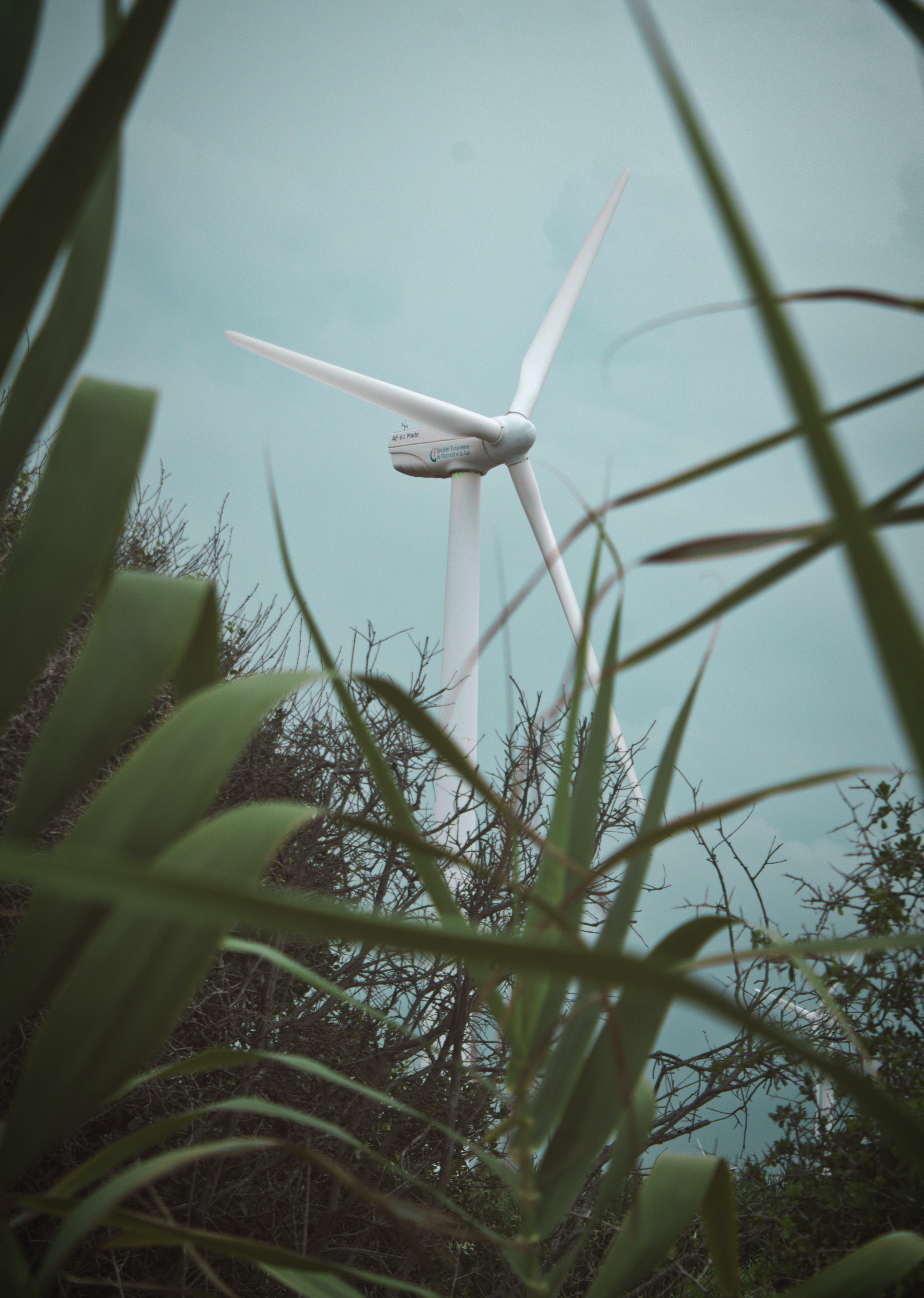 Environment